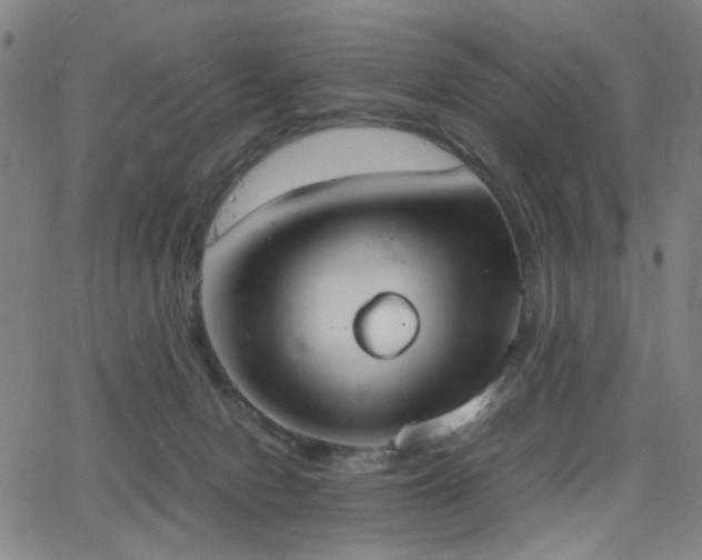 X0000064040078200601271213