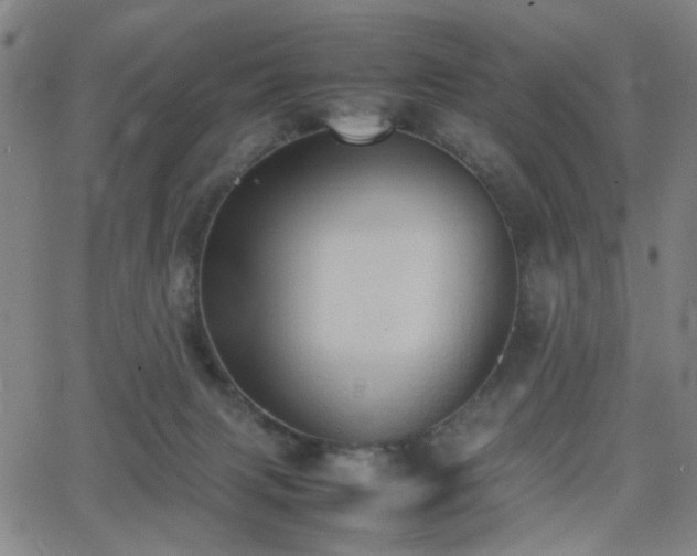 X0000064040079200601271213