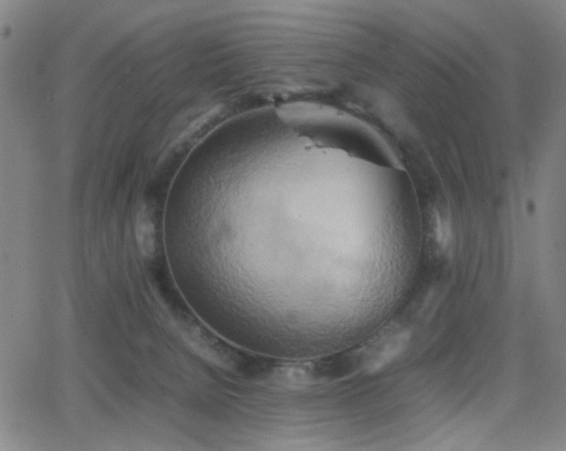 X0000064040080200601271213