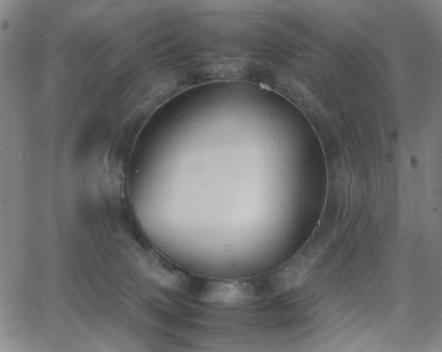 X0000064040083200601271213