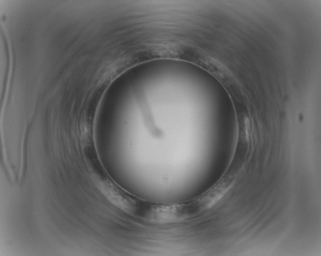 X0000064040084200601271213