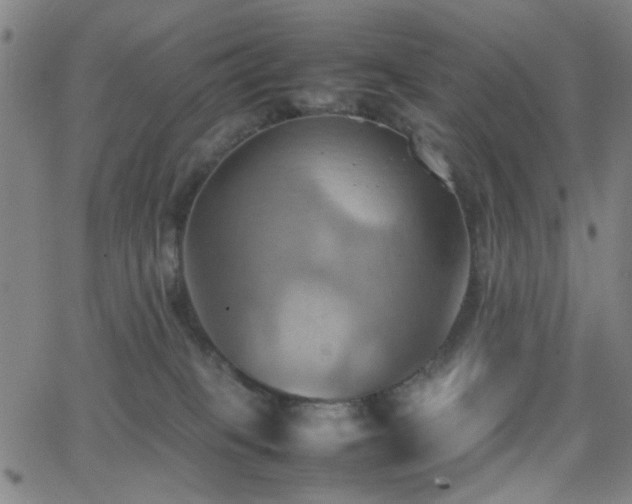 X0000064040085200601271213