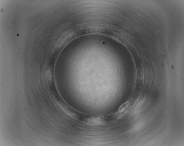 X0000064040086200601271213