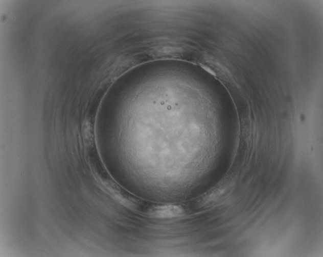 X0000064040087200601271213