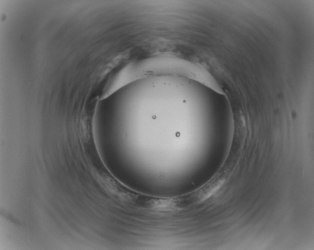 X0000064040088200601271213