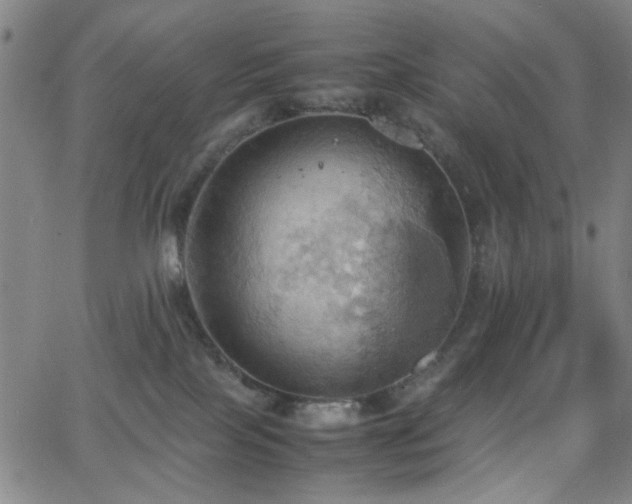 X0000064040089200601271213