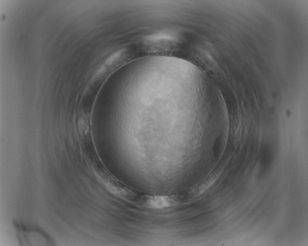 X0000064040091200601271213