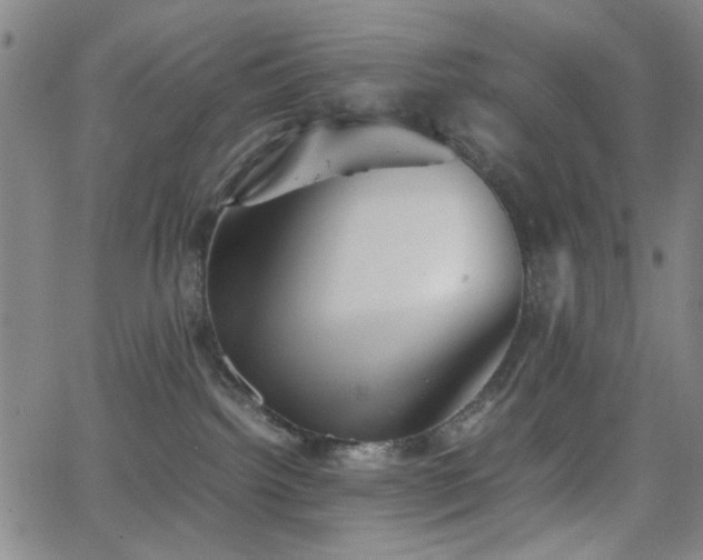 X0000064040092200601271213