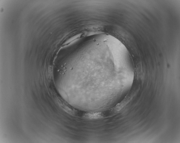 X0000064040093200601271213