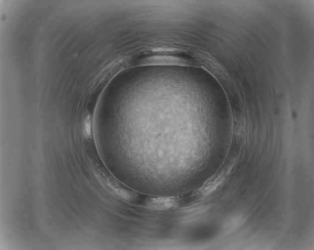 X0000064040095200601271213