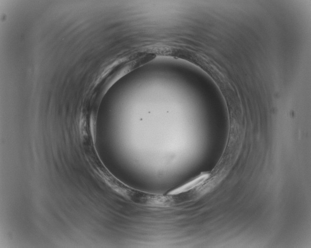 X0000064040096200601271213