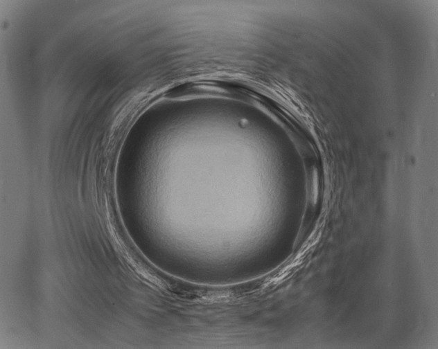 X0000064040097200601271212