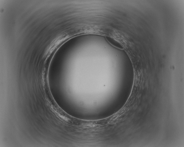 X0000064040098200601271212