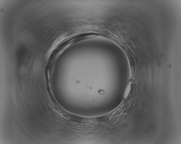 X0000064040099200601271212