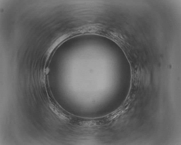 X0000064040100200601271212