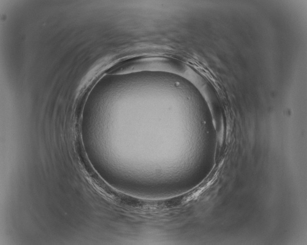 X0000064040101200601271212