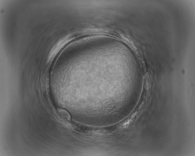 X0000064040103200601271212