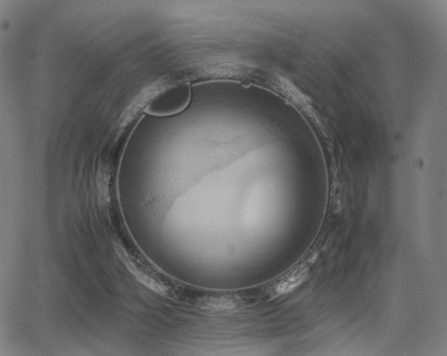 X0000064040106200601271212