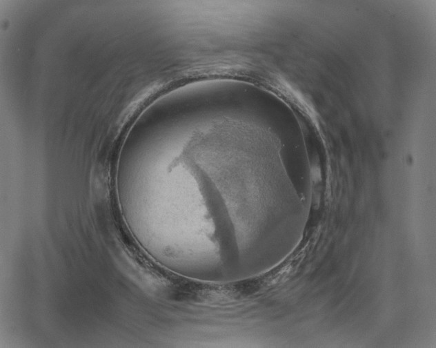 X0000064040107200601271212