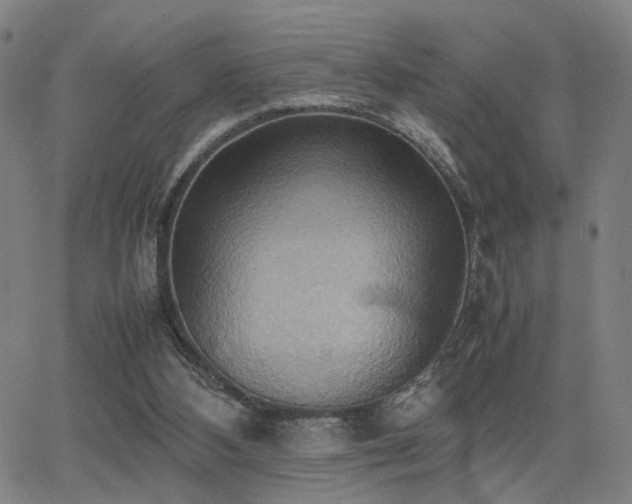 X0000064040108200601271212