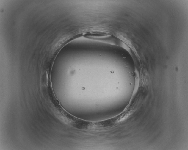 X0000064040109200601271212