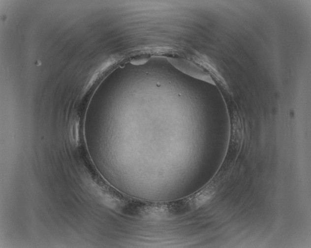 X0000064040110200601271212