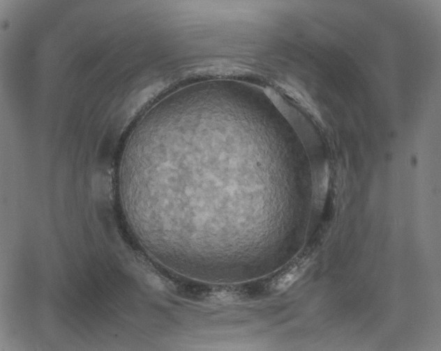 X0000064040111200601271212