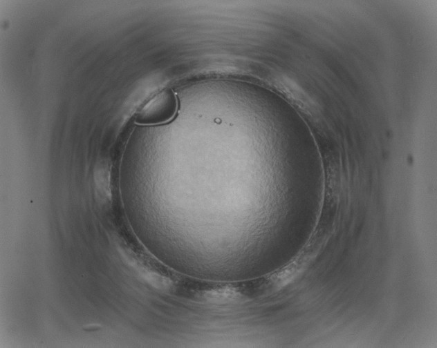 X0000064040112200601271212