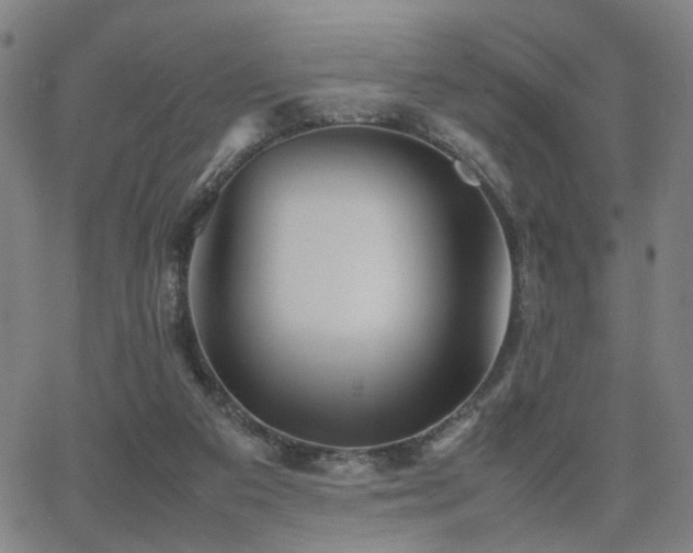 X0000064040113200601271212