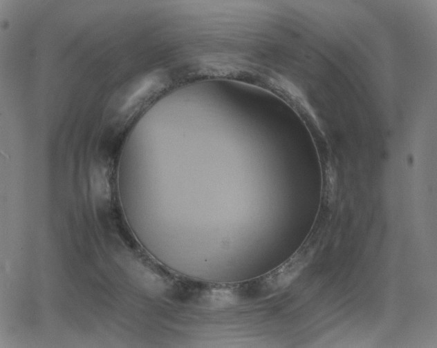 X0000064040114200601271212