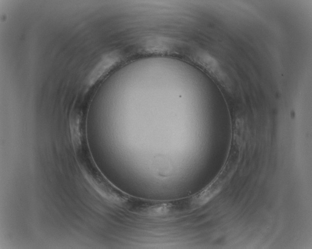 X0000064040116200601271212