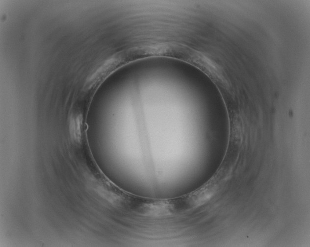 X0000064040118200601271212