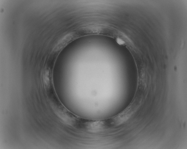 X0000064040122200601271212