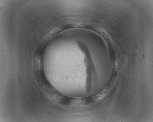 X0000064040123200601271212