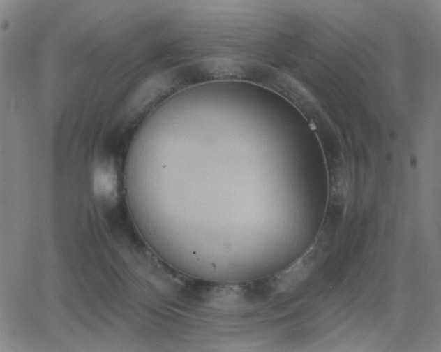 X0000064040124200601271212