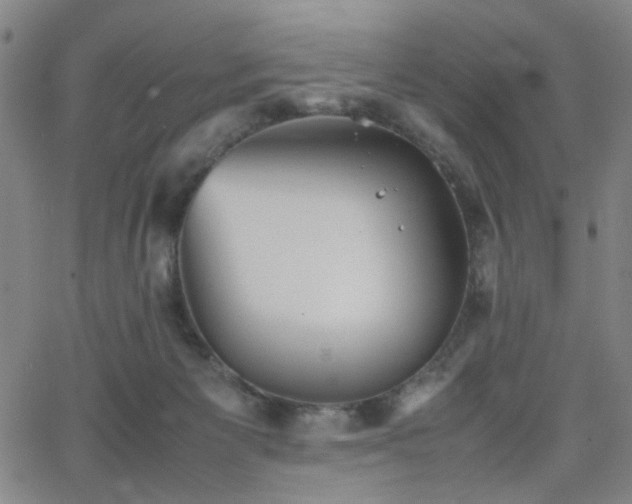 X0000064040125200601271212