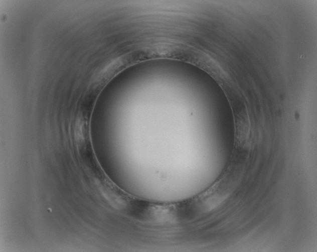 X0000064040126200601271212