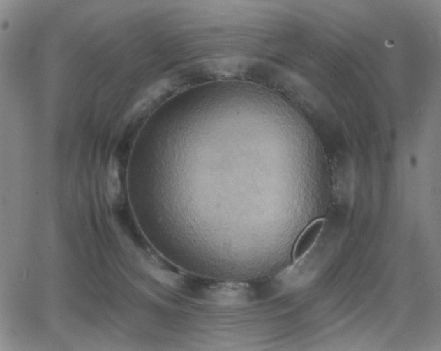 X0000064040128200601271212