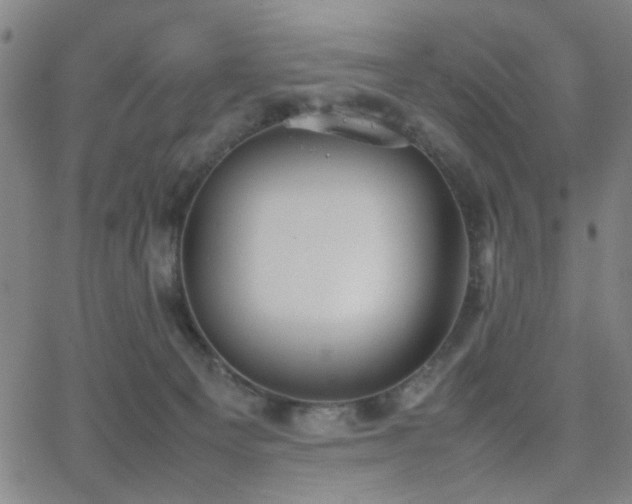 X0000064040129200601271212