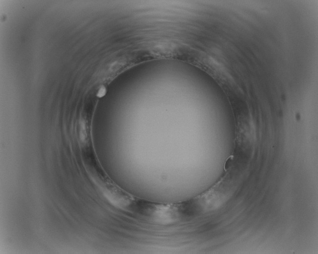 X0000064040130200601271212