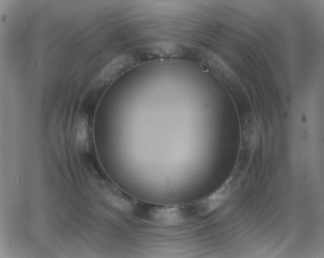 X0000064040132200601271212