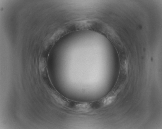 X0000064040133200601271211