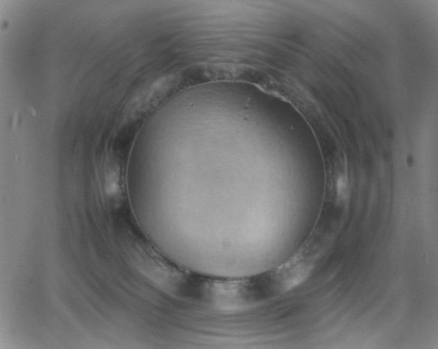 X0000064040134200601271211