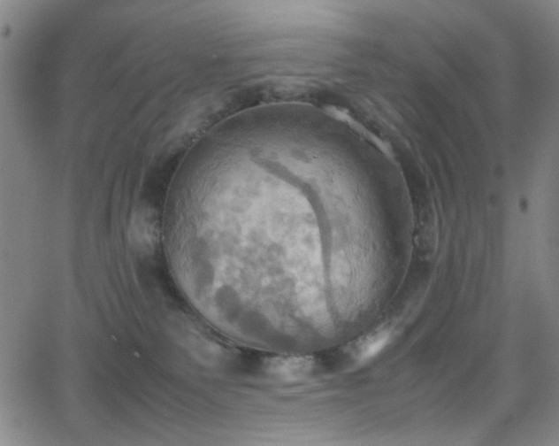 X0000064040135200601271211