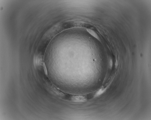 X0000064040137200601271211