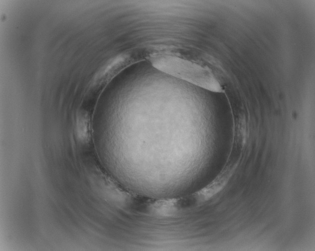 X0000064040138200601271211