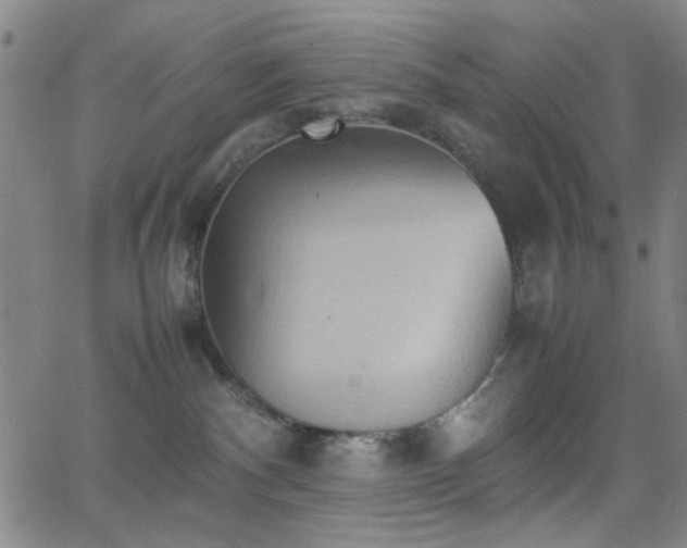 X0000064040140200601271211