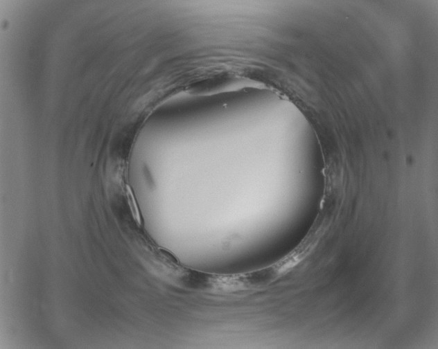 X0000064040141200601271211