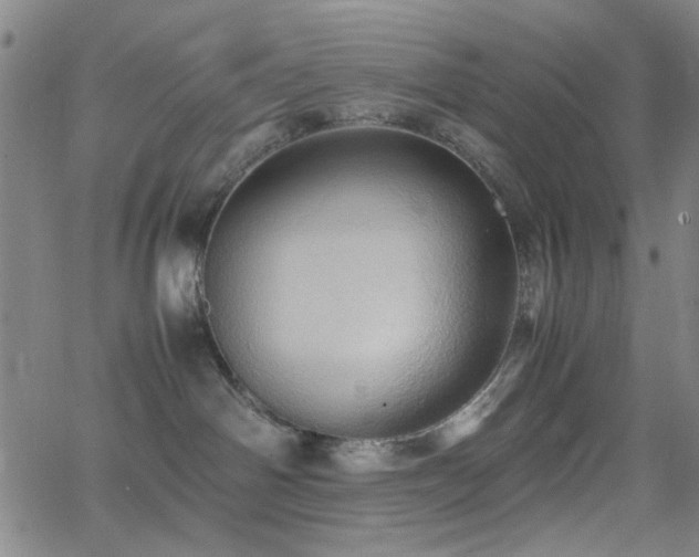 X0000064040142200601271211