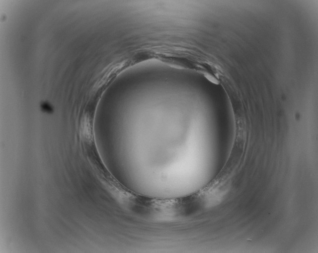 X0000064040143200601271211